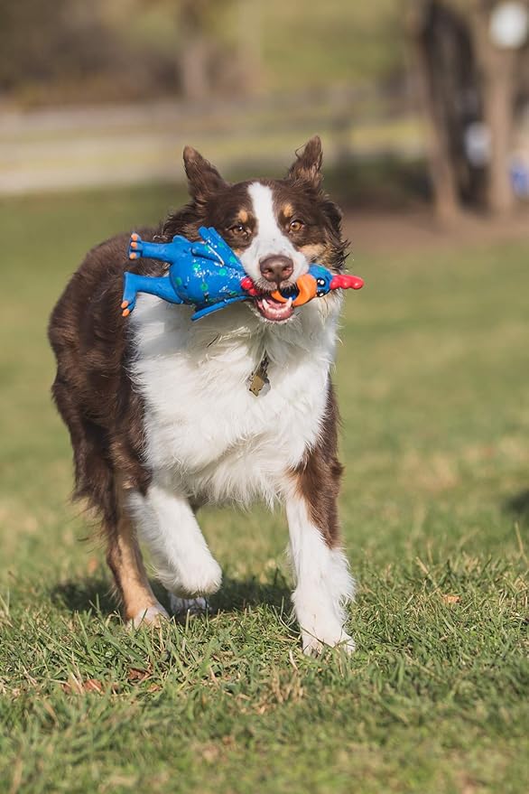 Multipet's 11.5-Inch Latex Polka Dot Globken Chicken Dog Toy, Assorted Color - 1 Count