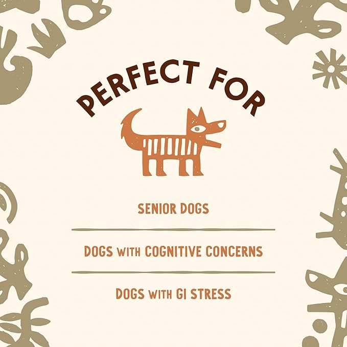 Super Blend Powder, Mushroom Mycelium and Dog Probiotic Supplement for Brain and Digestive Health Support, Lion’s Mane & Probiotic, Lion's Mane + Probiotics