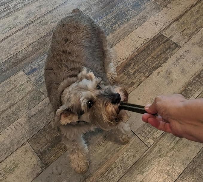 Dental Sticks - Natural Dog Dental Treats for Fresh Breath & Clean Teeth, All Natural dog breath freshener Dogs, No grain or fillers, with Peppermint Oil