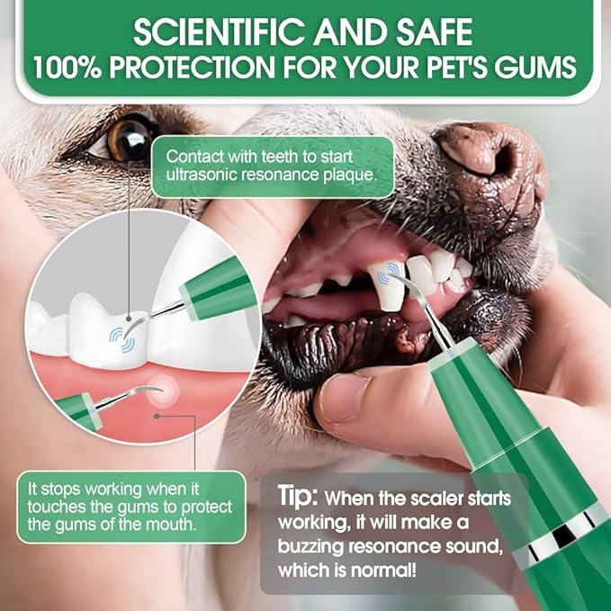 Dog Teeth Cleaning Kit, Ultrasonic Tooth Cleaner for Dogs, Smart Power Off, Kit includes Pet Oral Spray. Dog Tartar Remover for Teeth, Remove Pet Dental Plaque Easily at Home. (dark green)