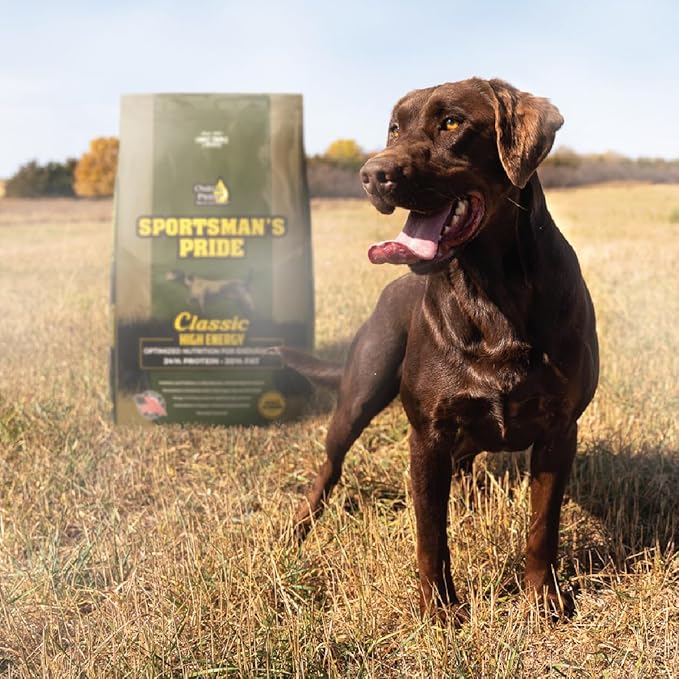 Classic 24/20 High Energy Dry Dog Food, 40-lb Bag