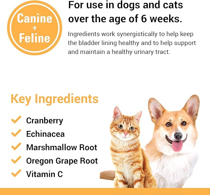 Vet Classics Cranberry Comfort Urinary Tract Pet Supplement for Dogs, Cats – Maintains Dog Bladder Health, Cat Bladder Control – Pet Supplements for Incontinence – 120 Soft Chews