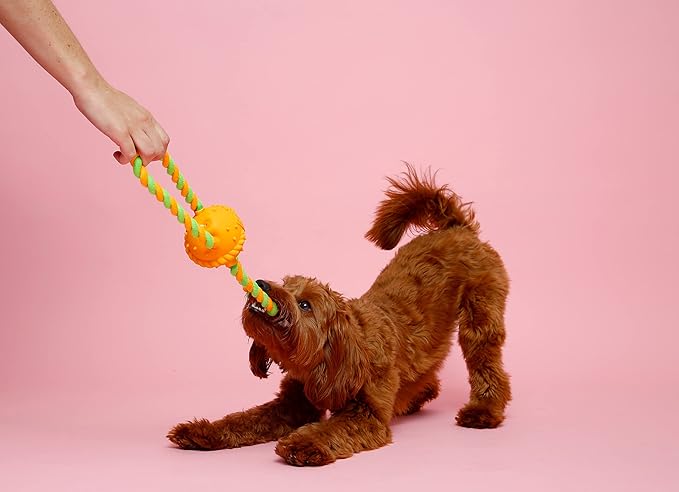 Hartz DuraPlay Bacon Scented Dog Toys, Medium/Large for All Breed Sizes
