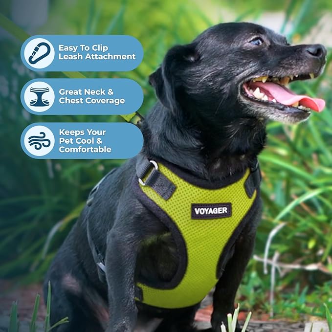 Voyager Step-in Lock Dog Harness w Reflective Dog Leash Combo Set with Neoprene Handle 5ft - Supports Small, Medium and Large Breed Puppies/Cats by Best Pet Supplies - Lime Green/Black Trim, S