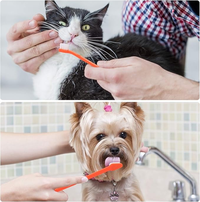 Double Headed Pet Dog Toothbrush for Small Dogs/Soft Bristles Puppy Long Handle Tooth Brush Dogs Teeth Cleaning/Bulk Toothbrushes Dental & Oral Care… (MIXED10)