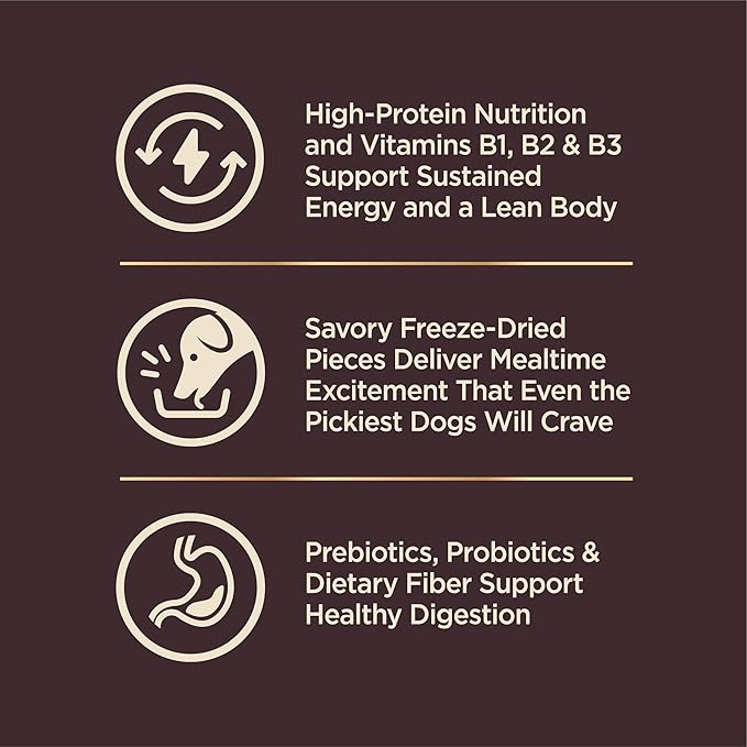 Wellness CORE RawRev Dry Dog Food with Wholesome Grains, Natural Ingredients, Made in USA with Real Freeze-Dried Meat (Adult, Ocean, 4 lbs)