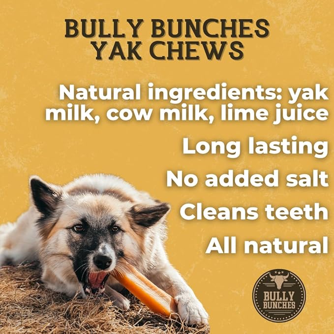Bully Bunches Medium Authentic Yak Cheese Himalayan Chews for Medium & Small Dogs - All Natural Dog Treat Dental Chews, Made with Real Yak Milk - Lactose & Rawhide Free (6 Pk)
