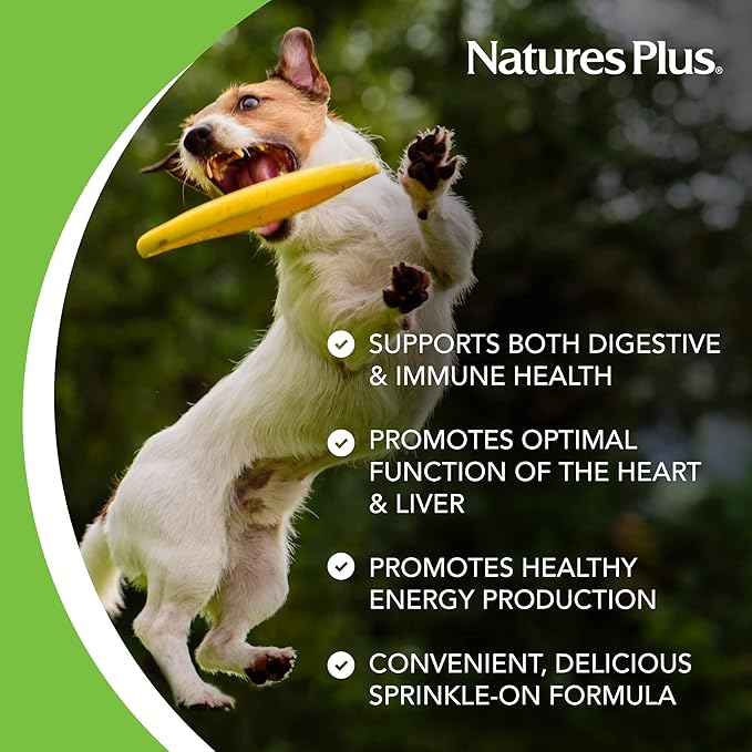 NaturesPlus FurBaby Probiotic for Dogs - 9.5 oz - Supports Digestive, Heart, Liver & Immune Health - 60 Servings
