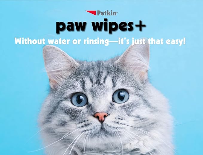 Paw Wipes Plus, 100 Orange Scented Wipes - Absorbent Pet Paw Wipes Remove Daily Dirt & Odors - Enriched with Paw Balm Protectant - Easy to Use Pet Wipes for Dogs, Cats, Puppies & Kittens