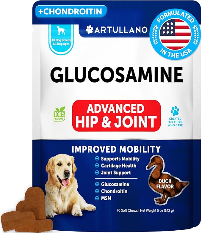 Glucosamine for Dogs - Hip and Joint Supplement for Dogs - Glucosamine Chondroitin For Dogs, Turmeric, MSM - Dog Glucosamine Support - Dog Joint Pain Relief Health - Mobility Treats - 70 Chews