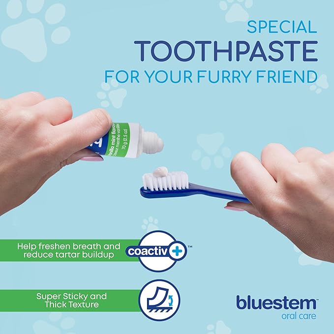 Bluestem Dog Tooth Brushing Kit - Dog Toothpaste with Coactiv+ Technology to Reduce Tartar Buildup - Easy to Use Dog Teeth Cleaning Kit - Sticky and Long-Lasting, Vanilla Mint Flavor