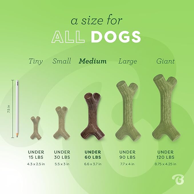 Benebone Maplestick Durable Dog Chew Toy for Aggressive Chewers, Real Maplewood, Made in USA, Medium
