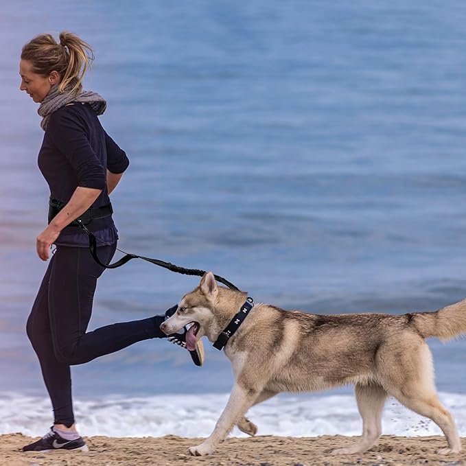 Hands Free Dog Leash,Hands Free Dog Running Leash with Removable Zipper Pouch,Waist Dog Leash Belt Fanny Pack Bag for Walking,Hiking,Biking,Jogging,Training (B Black)