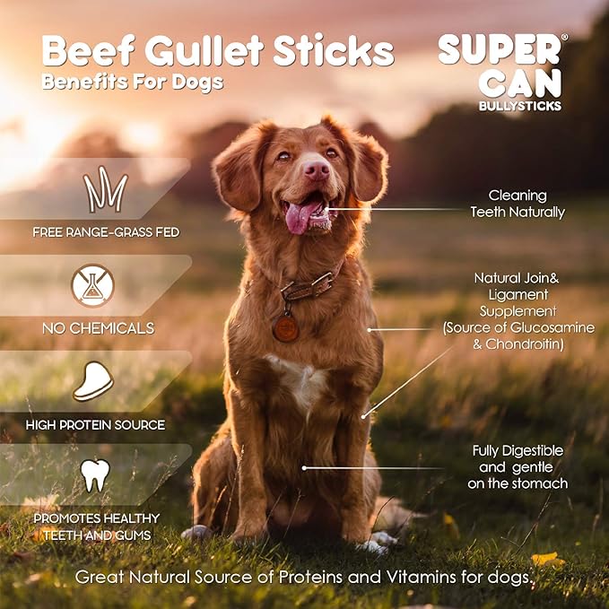 SUPER CAN BULLYSTICKS Beef Gullet Sticks for Dogs 12" (4 count) | Natural Beef Sticks Jerky Chews for Puppies & Small Dogs | Glucosamine Rich Dog Treats for Healthy Joints | Softer Than Bully Sticks