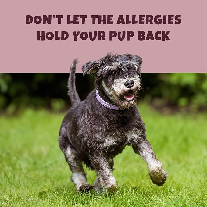 Turmeric + Curcumin - Natural, Human-Grade Allergy Relief Chews, Hip and Joint Supplement, and Anti-Inflammatory for Dogs