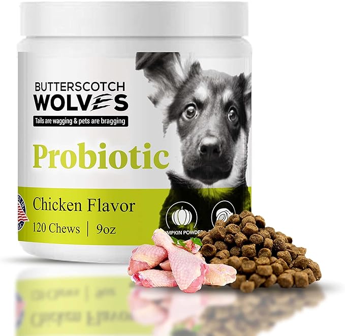 Probiotics for Dogs Supplement | Digestive and Immune Health Support Dog Vitamins with Probiotic Blend and Pumkin Powder | Approximately 120 Probiotic Chews for Dogs