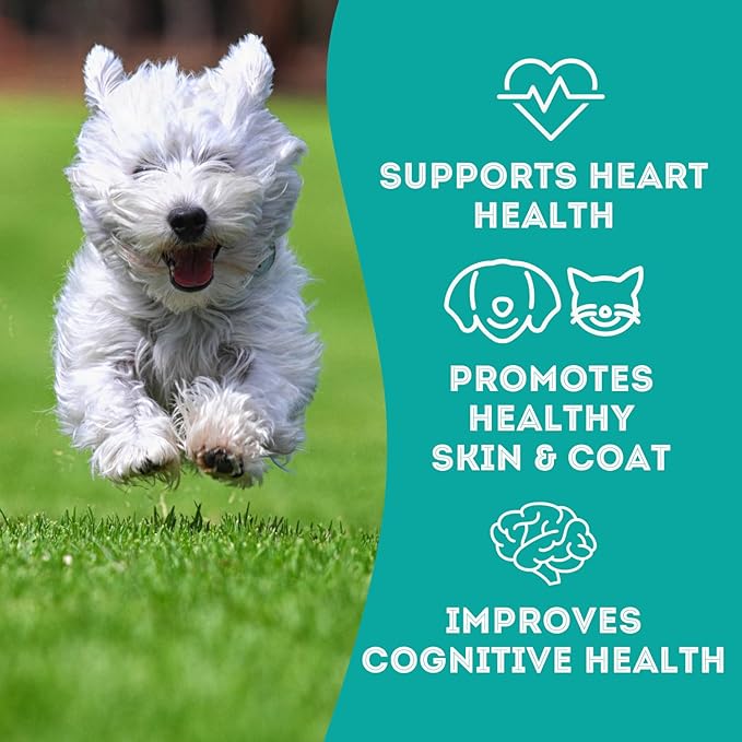 Dehydrated Protein Wild Salmon & Tuna Treat for Dogs & Cats Slowly Dehydrated Raw Single Ingredient Keep Nurtients Vitamins and Healthy Oils Made