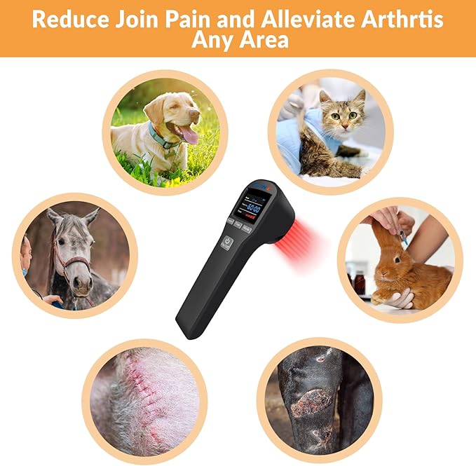 Cold Laser Therapy Device for Muscle & Joint, 4x808nm+16x650nm, Pain Relief, Accelerate Healing, Home Light Therapy for Dogs, Cats, Horses and Animals(Black)