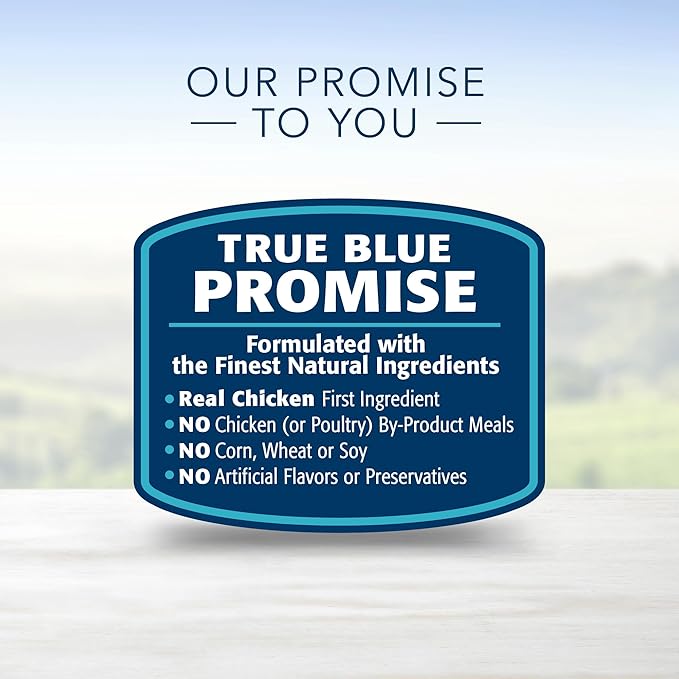 Blue Buffalo Homestyle Recipe Natural Adult Large Breed Wet Dog Food, Chicken 12.5 oz cans (Pack of 12)