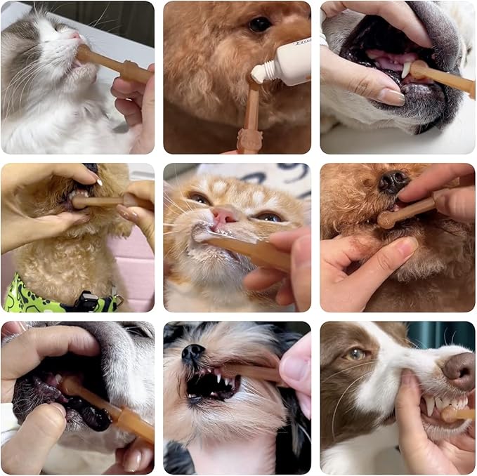 Dog Toothbrush, Pet Silicone Toothbrush Cat Tooth Brushing Kit with Storage Cup, 360° Doggie Kitten Toothbrush Tongue Cleaning Brush, Dental Care for Small Pets Ferret Dutch Pigs