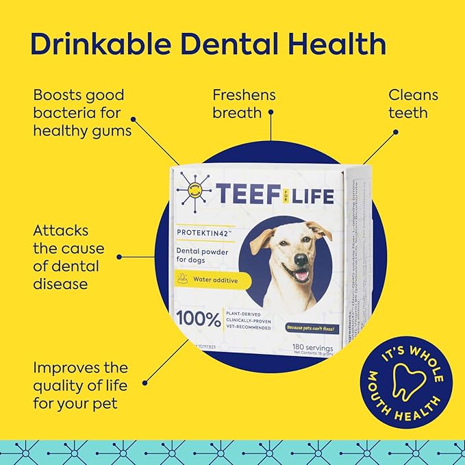 for Life Protektin42 Plant-Derived Dental Water Additive for Dogs, Daily Dental Care, Clinically-Proven Formula Naturally Fights Plaque and Tartar, Refill Packet with 30 Servings