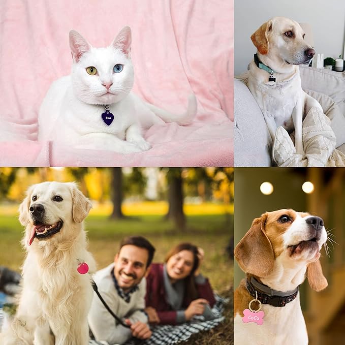 140pcs Pet ID Tag Set with 40pcs Colourful Blank Dog Tags Double Sided Aluminum Cat ID Tags,80pcs Stainless Steel Key Rings and 20pcs Pendants for Dogs Cats Pets Name Phone Number Craft Tag