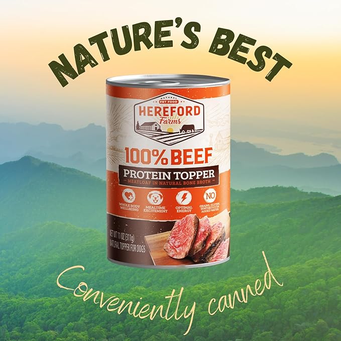 100% Beef Wet Dog Food, in Bone-Broth, Hypoallergenic Dog Food, All-Natural Mixer, Topper & Hydration - 11oz. (12 cans)