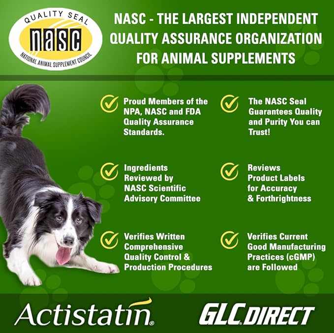 Canine Large Dog Soft Chews, 120ct – Patented Extra-Strength Joint, Cartilage, Soft Tissue Supplement: Glucosamine, Chondroitin, Manganese, MSM, L-Carnitine – High Absorption, Fast Results