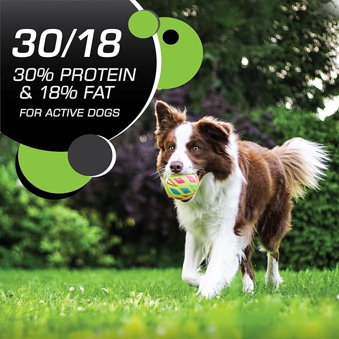 Iams Proactive Health Adult Active Dry Dog Food with Chicken and Turkey, 13.5 lb. Bag