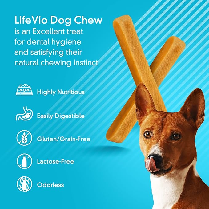 Medium Himalayan Yak Cheese Dog Chews, Medium (1 Stick) Long Lasting, 100% Natural with Pink Salt and Lime Juice for All Dogs