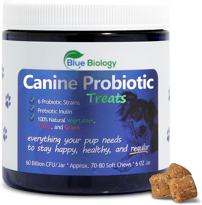 Canine Probiotic Chews for Dogs - Vet Formulated for Digestive & Diarrhea Support - Dog Probiotics for Diarrhea - Probiotics Dog Treats - Dog Digestive Support - Canine Probiotic - (60ct)
