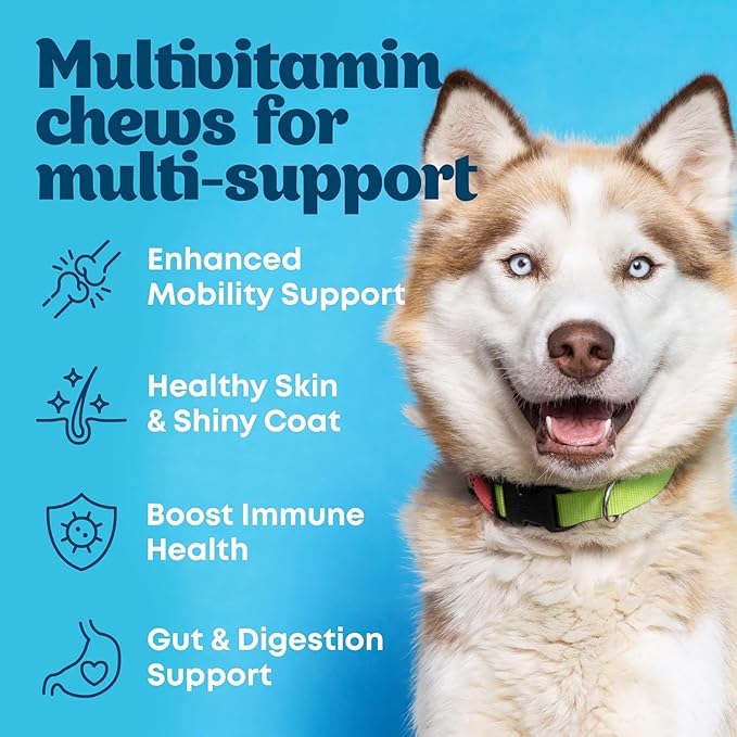 Multivitamin Chews 21-in-1 Dog Vitamins and Supplements for Senior Dogs and Puppies - Multivitamin for Dogs for Skin, Coat, Heart, Immune Support - Dog Multivitamins Chewable for Joint Support -120pcs