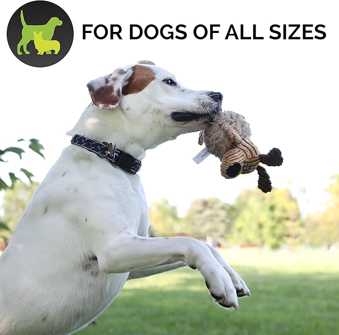 Hyper Pet Bumpy Palz 2-In-1 Interactive Dog Toys, Dog Chew Toys & Dog Puzzle Toy (Plush Dog Toy Exterior & Fun Squeaky Dog Ball Dog Toy Interior for Large Dogs, Medium Dogs & Small Dogs)