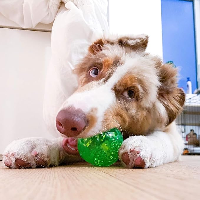 Hyper Pet DuraSqueak Dog Ball Dog Toys (Interactive Dog Toys that Float & Squeak) Squeaky Dog Toys & Dog Balls for Playing, Fetching & Retrieving-Great Alternative to Traditional Dog Tennis Balls-3.5"