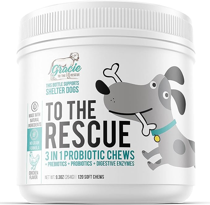 Probiotic Chews for Dogs, Support Digestive Health, Dog Probiotics and Digestive Enzymes, Dog Probiotic Chews, Probiotic Dogs, Puppy Probiotic, Pet Probiotics for Dogs - 120 Soft Chews