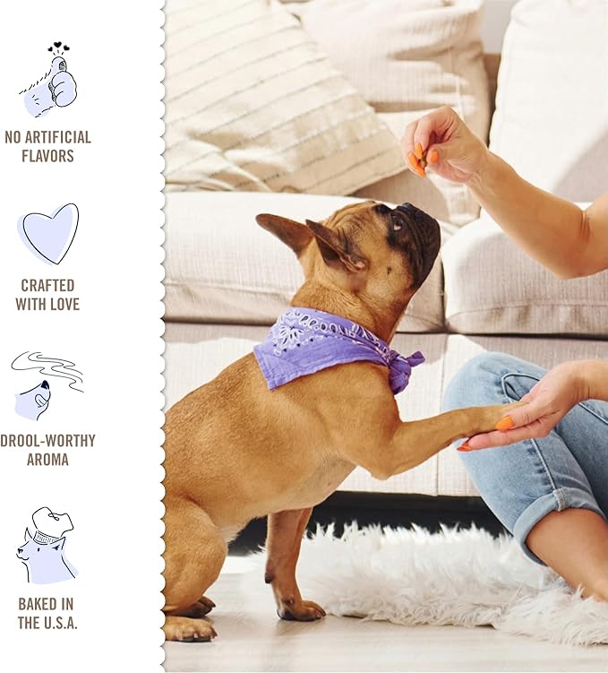 Three Dog Bakery Soft and Chewy Super Rewards with Superfoods Dog Treats, Low Calorie Dog Training Treats for Dogs, Orchard Apple Pie Flavor, 5 Ounce Resealable Bag