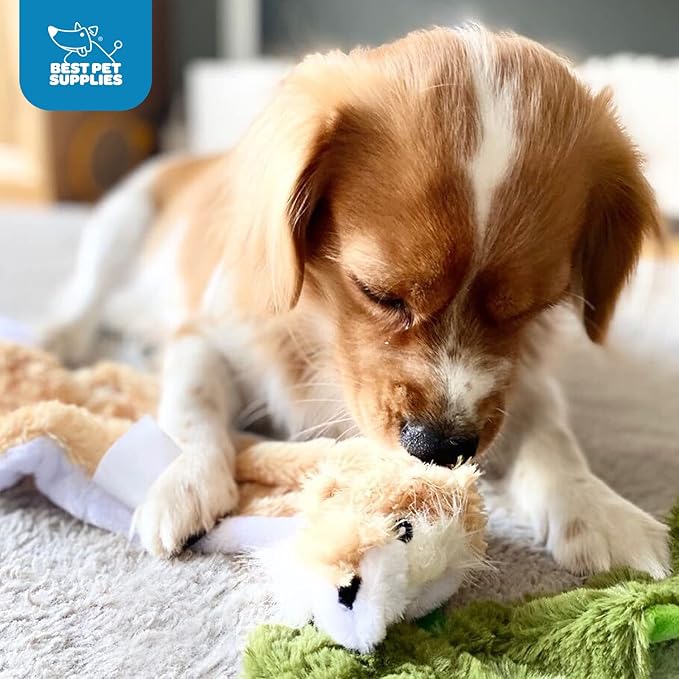 Best Pet Supplies Stuffing Free Squeaky Dog Toys for Small Dogs, Medium Dogs, and Large Dogs, Durable, Best Dog Chew Toy for Teething Puppy, Indoor Play, Holds Plastic Bottle - Hare, Medium