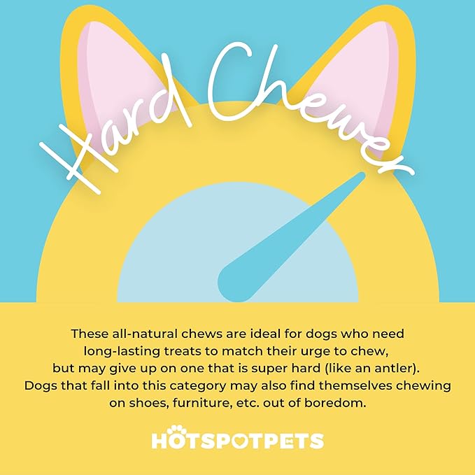 hotspot pets 5 Pack - 8-9 Inch Large Rawhide Dog Chew Bones - Made from Grass Fed Brazilian - Great for Dental & Oral Care for Aggressive Chewers Large Dogs (5 Pack)