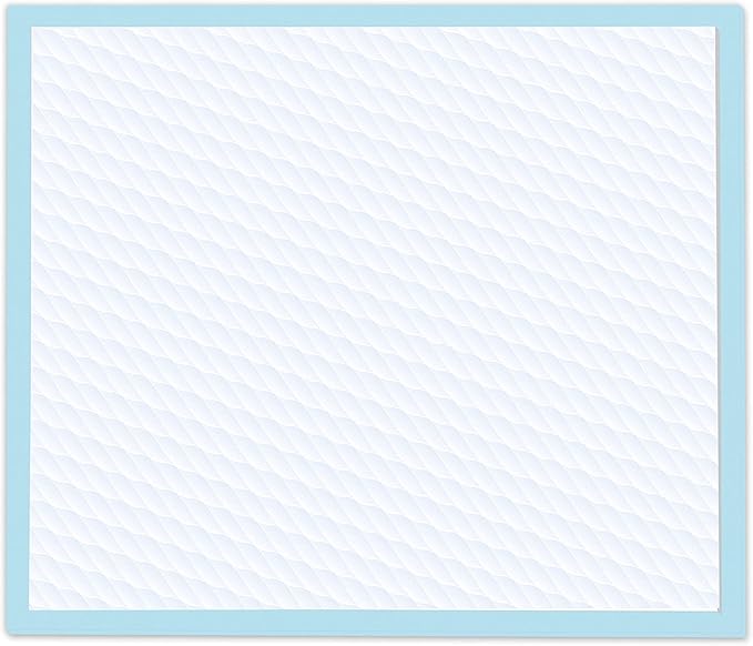 Four Paws Wee-Wee Superior Performance Pee Pads for Dogs of All Sizes, Leak-Proof Floor Protection Dog & Puppy Quilted Potty Training Pads, Unscented, 22" x 23" (10 Count)