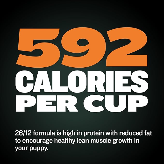Bully Max 26/12 High-Potein Wet Dog Food - Instant Fresh Dehydrated Puppy & Adult Dog Food with Chicken - Healthy Muscle Growth for Small & Large Breeds - 6 Dry Pounds (Makes 16.5 lbs. of Wet Food)