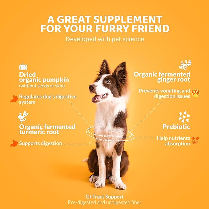 Pumpkin Pro for Dogs - Tasty Powdered Digestive Support Food Topper w/Organic Pumpkin - Supports Prebiotic Fiber Source & Nutrition - Helps Loose Stool and Gut Inflammation(5.25 oz)