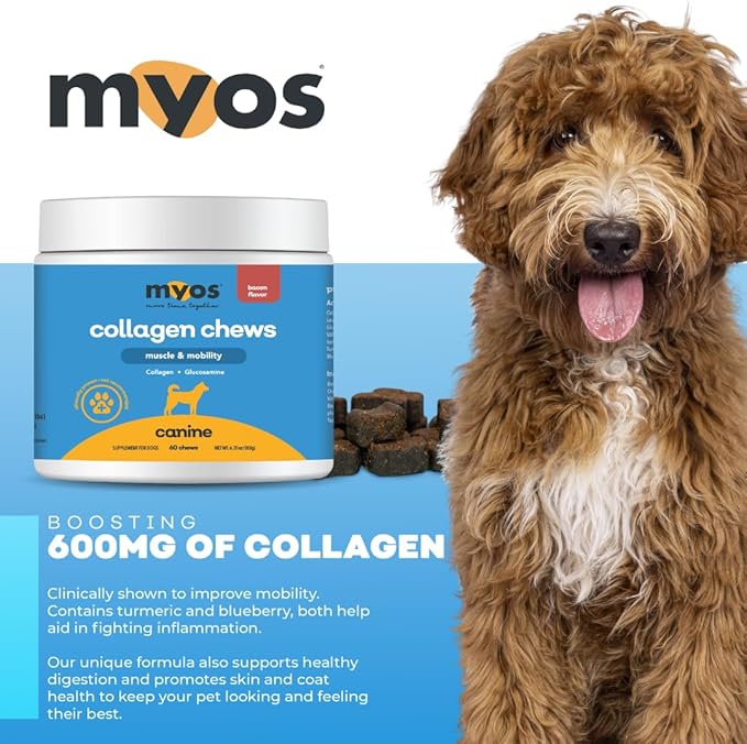 MYOS Canine Muscle & Mobility Chews – Natural Collagen & Glucosamine for Dogs - Bacon Flavor Joint Supplement for Muscle, Bone & Joint Support, 60 Count
