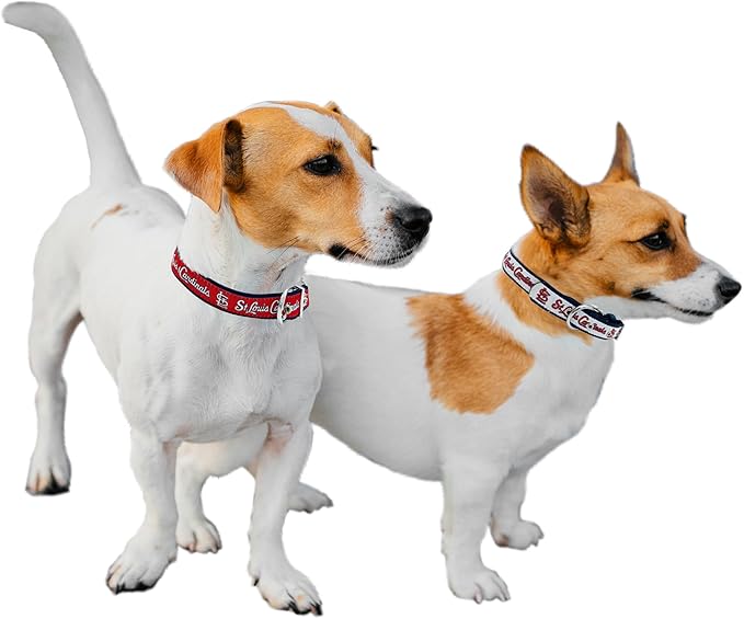Pets First ST Louis Cardinals Reversible MLB Dog Collar,Large. Premium Home & Away Two-Sided Pet Collar Adjustable with Metal Buckle. Your Favorite Baseball Team, Dogs & Cats,Team Color,SLC-3280-LG