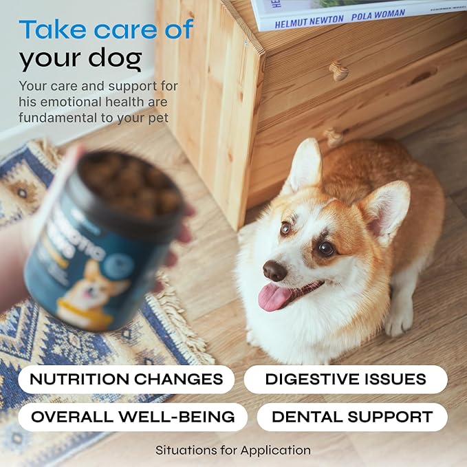 Probiotics for Dogs - Dog Probiotics for Digestive Health - Probiotic Chews for Dogs with Digestive Enzymes - Dog Gut Health Probiotics - Pet Probiotics for Dogs Gut Health Digestive