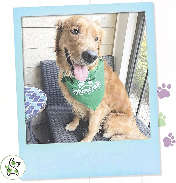 Nature Gnaws Variety Pack - Long Lasting Dog Chews for Dogs - Combo Pack of Bully Sticks, Beef Gullet and More - Dental Chews - Puppy Training Reward Large (12ct)