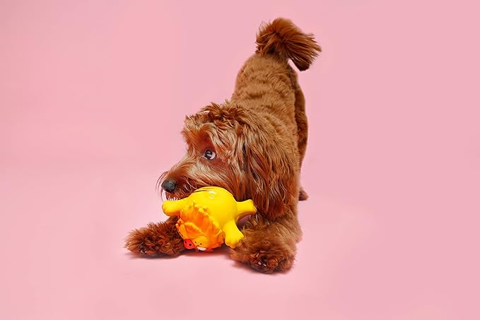 Hartz Dura Play Zoo Balloons Squeak Dog Toy, Multiple Pack Sizes 3 Count