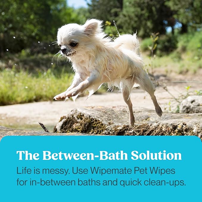 2-Pack Dog & Cat Pet Wipes, Cleans Pet Paws, Ears, Fur, Butt, & Anal Gland, No-Rinse Solution, Gentle, Deodorizing, Hypoallergenic - Unscented 100 ct