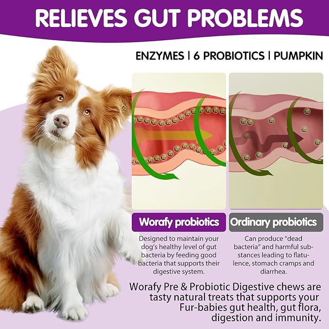 Probiotics for Dogs,Dog Probiotics Digestive Health,Dog Probiotic Chews with Digestive Enzymes for Gut Flora Gut Health,Dog Probiotics for Small,Medium,Large Dogs,120 Count,Peking Duck Flavor