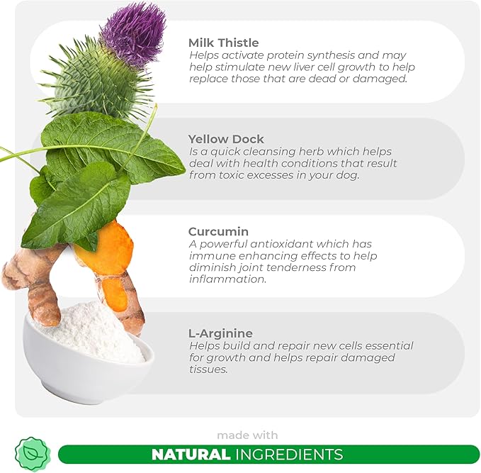 Milk Thistle for Dogs - 90 Soft Chews - Liver and Kidney Support for Dogs - Hepatic Support with EPA & DHA - Detox for Dogs - Liver Supplement for Dogs with Choline and L-Arginine (Soft Chews)