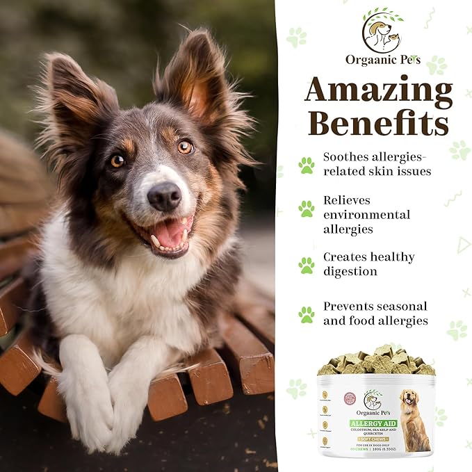 DOG ALLERGY RELIEF with SEA KELP - COLOSTRUM - QUERCETIN - MUSHROOMS - OMEGA + 11 NATURAL ALLERGY RELIEF HERBS - SOFT CHEWS for Skin & Seasonal Allergies